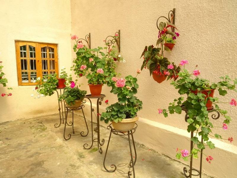 Guesthouse On Zheleznodorozhnaya Soechoemi Buitenkant foto